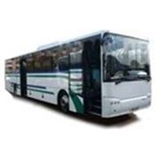 Междугородный автобус НЕФАЗ-52996