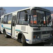 Автобус ПАЗ 32053 бенз-й и ПАЗ 32053-07 диз-ый фото