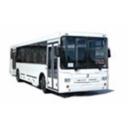 Городской автобус НЕФАЗ-52995