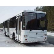Автобус НЕФАЗ-5299-30-33 низкопольный фото