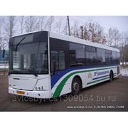 Автобус НефАЗ - VDL-52997 фотография