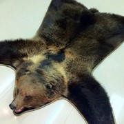 Ковёр из шкуры медведя 160 см фото