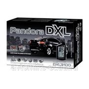 PANDORA DXL 3100 CAN