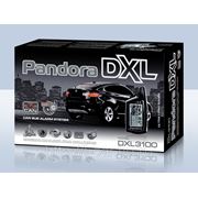 Pandora DXL 3100