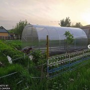 Теплица 031 Эргостиль фото