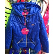 Детская куртка ветровка на девочку 34-38-42 электрик, код товара 261361663 фотография