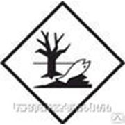 Информационный знак “Вещества, опасные для окружающей среды“ фотография