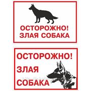 Табличка “Осторожно, злая собака“ фото
