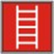 Знак F 03 Пожарная лестница, указывает месторасположение пожарной лестницы МС 200 ГОСТ Р 12.2.143-2009 фото