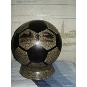 Сувенирный мяч Донбасс Арена фото