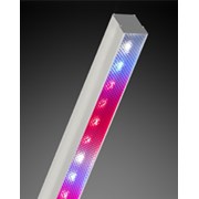 Светодиодная фитолампа LED СКУ01 “Fito” 50w фотография