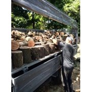 Продам дрова: тополь, осина, каштан