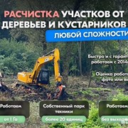 Расчистка территорий от деревьев и пней от 1 Га фото