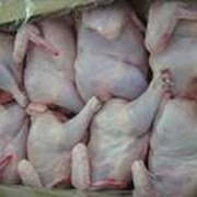 Мясо курицы, ЦБ оптом производителя от 52р за кг  фото