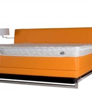 Водяная кровать модель Аква-Вега фото