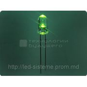 Светодиод 5mm green 570nm 30ᵒ фотография
