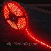 Светодиодная лента SMD 3528 (60 l/m) красный N/W фотография