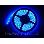 Светодиодная лента SMD 3528 (60 l/m) синий фотография