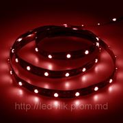 Светодиодная лента-SMD 5050 Red 30l/m non waterpoof фото