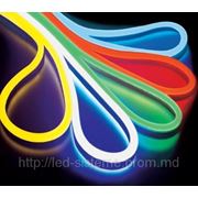 Гибкий неон LN-FX-220V-RYO фото