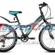 Велосипед горный Comanche 2.0