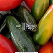Переработка овощей и фруктов фотография