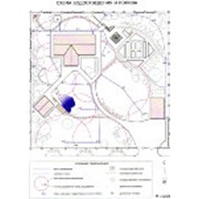 Дендрология фото