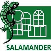 Окна Salamander (Саламандер)