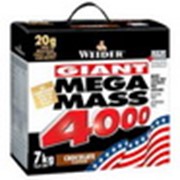 Mega mass 4000 (Weider) фото