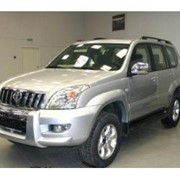 Toyota Prado фото