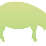 Биокорм для свиней