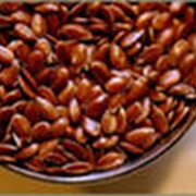 Семена льна масличного - Лён кондитерский фото
