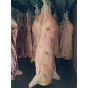 Свинина от производителя мясоперерабатывающего предприятия Харьковская область
