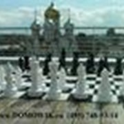 Шахматы и шашки 2 в одном король 63см фотография