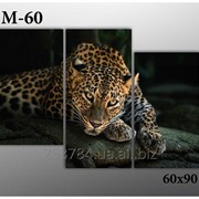 Картина модульная М-60, размер 60х90 фото