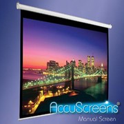 Проекционный ручной экран Accuscreens 84 фото