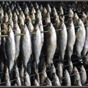 Промышленное производство рыбы Иные виды оптовой торговли фотография
