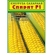 Продаем семена кукурузы Спирит F1 в Краснодаре  фото