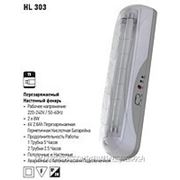 HL303 2x8W T5 светильник аккумуляторный аварийный фото