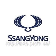 Дверь задняя SsangYong Kyron 6302109000