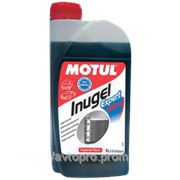 Антифриз Motul Inugel Expert Ultra 1 литр