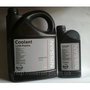 Антифриз Nissan Coolant L248 Premix 1лит. (банка)