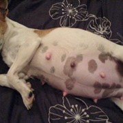 Глюкозометрия фото