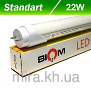Светодиодная лампа Biom T8-1500-22W CW G13 матовая (холодный белый)