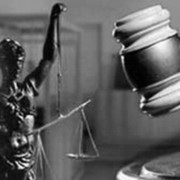 Представительство в судах разных уровней. фото