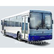 Автобусы пригородные НЕФАЗ 5299-10-05 фотография
