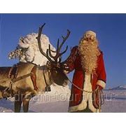 ФИНЛЯНДИЯ: Новый год и Рождество-2014
