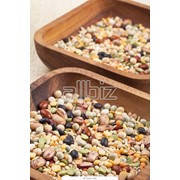 Отходы зерна. Зерновые, бобовые и крупяные культуры