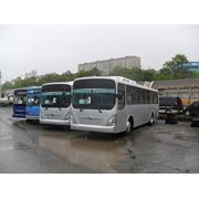 Гороской автобус HYUNDAI AEROCITY540 2010 год фото