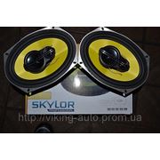 Акустическая система Skylor PRF-6923